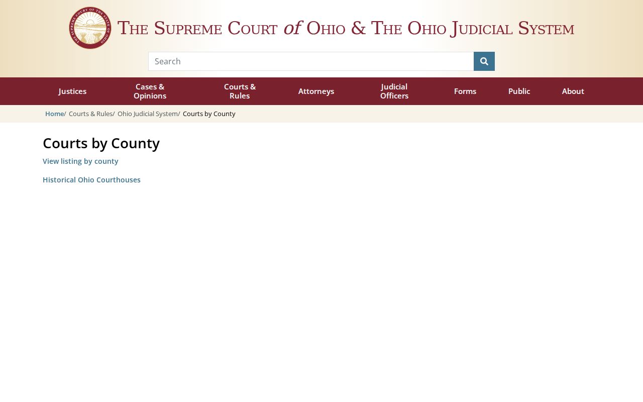 Fayette County court docket Ohio trial court structure